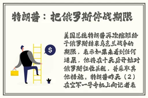 番茄todo在线视频