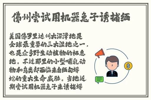 欧美扑克剧烈摇床不盖被子